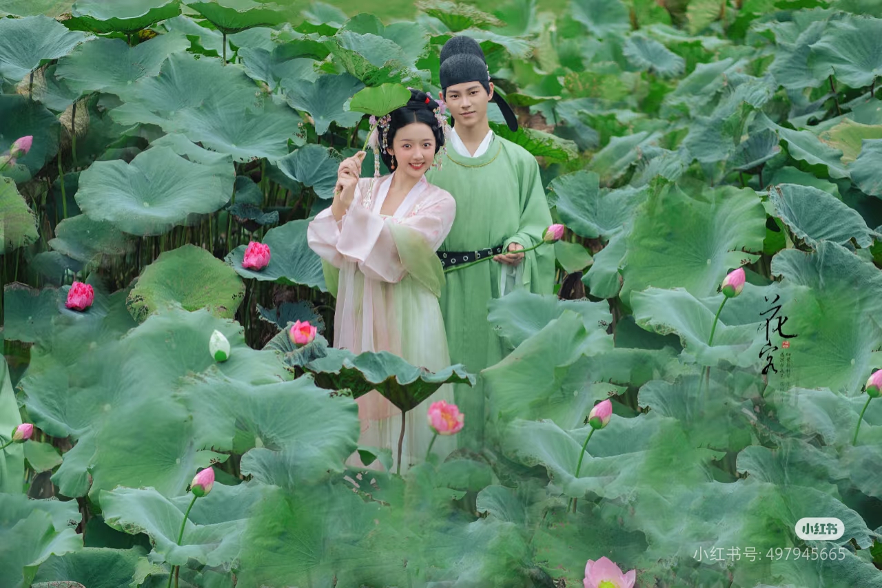 古装 荷花