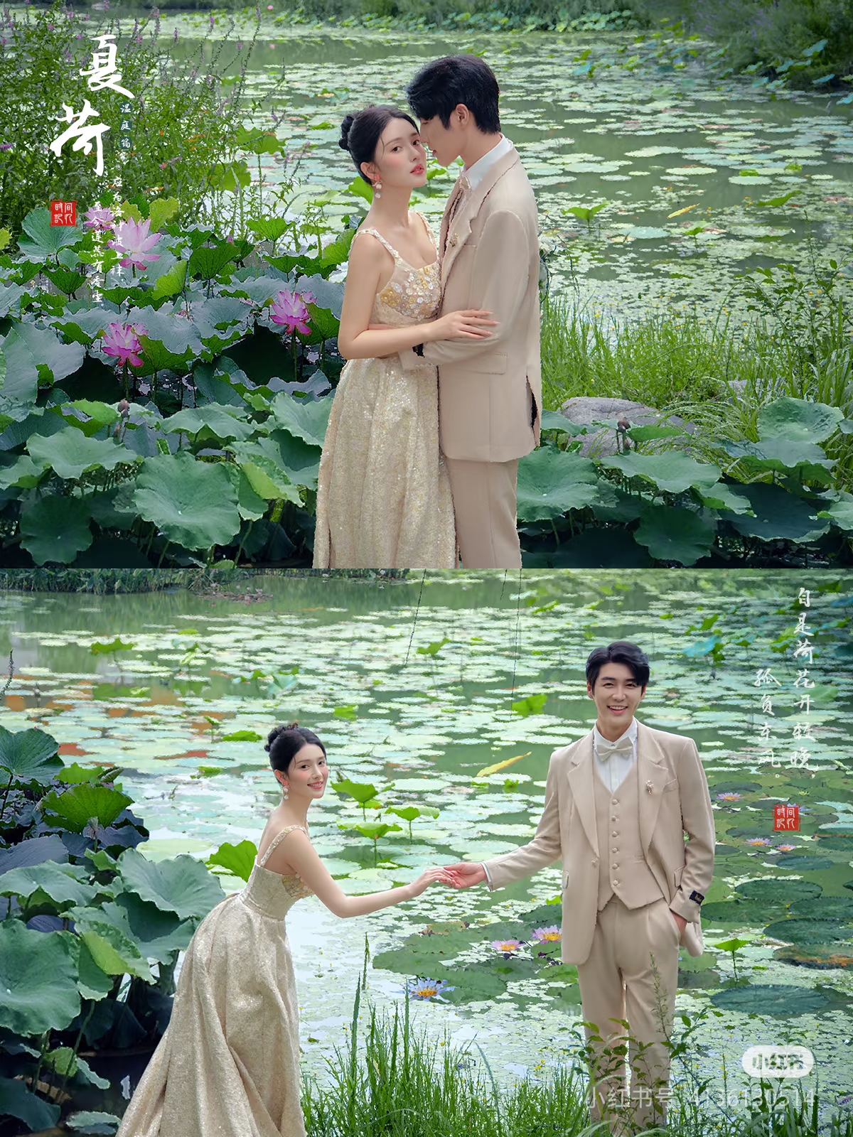 素材 荷花婚纱