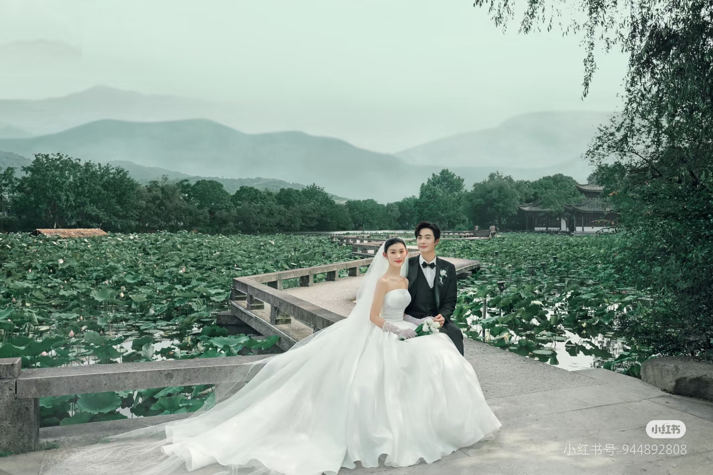 素材 荷花婚纱