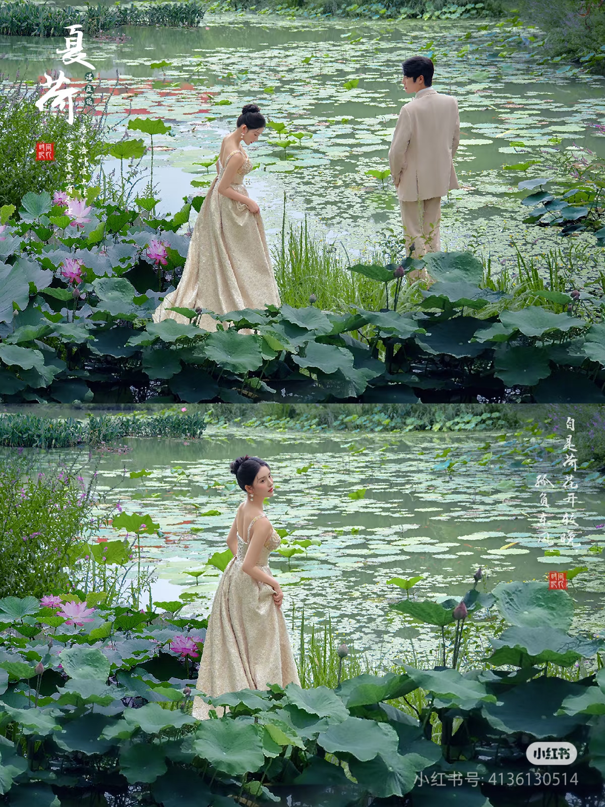 素材 荷花婚纱