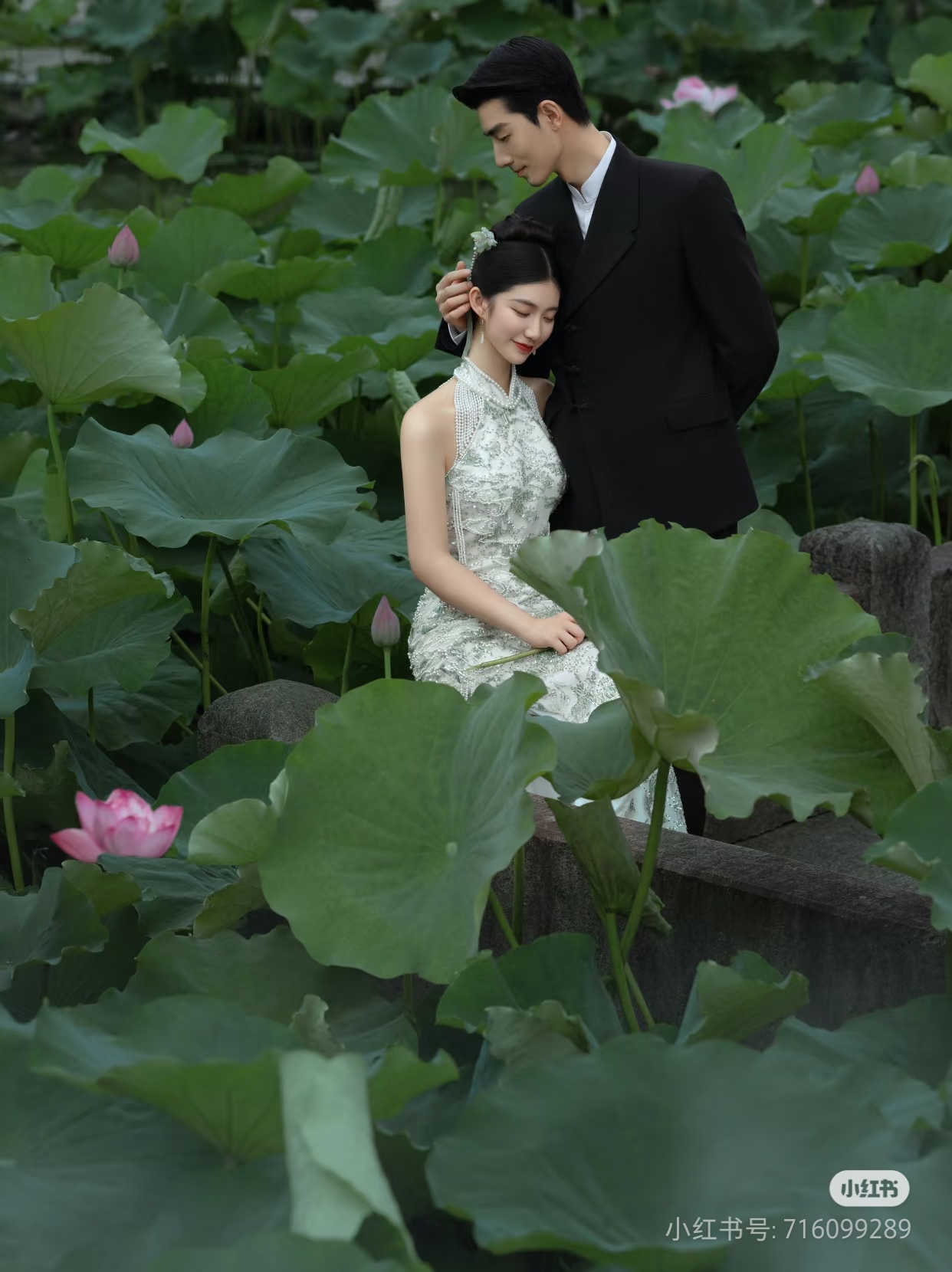 素材 荷花婚纱