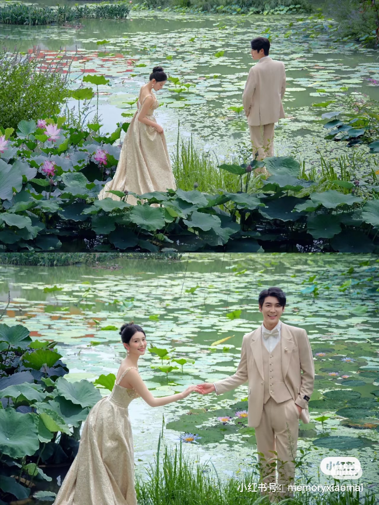 素材 荷花婚纱
