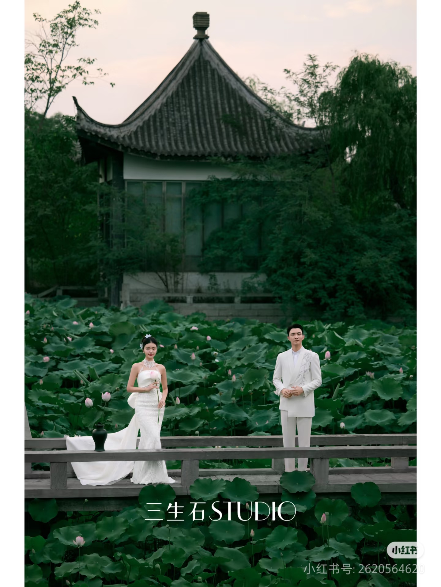 素材 荷花婚纱